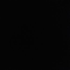 Meet your Posher, Larry